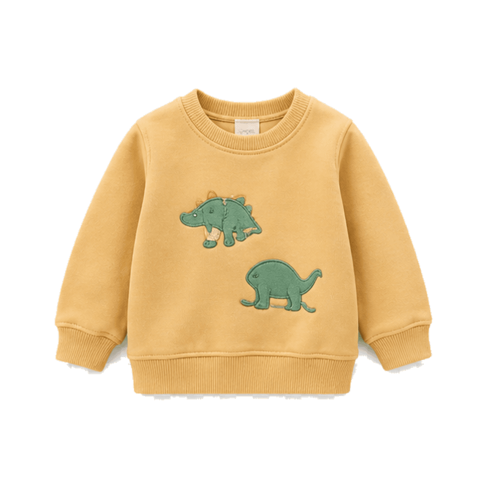 Dino Sweatshirt
